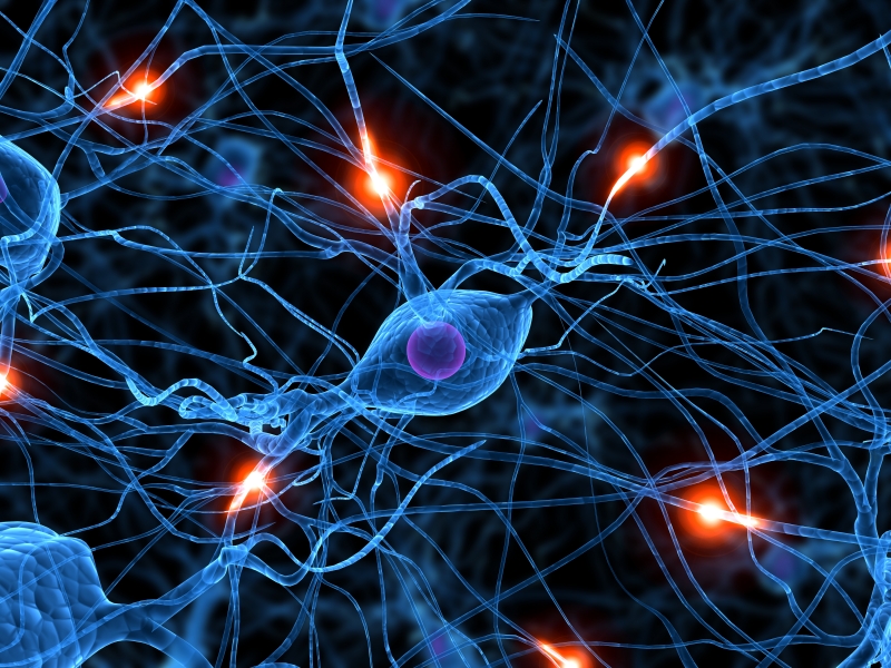 Visual for Risk Factors and Identifiers for Alzheimer’s Disease:  A Data Mining Analysis